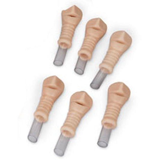 Replacement Trachea Set Adult (6 pcs) for R10723 - Erler Zimmer
