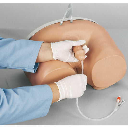 Catheterisation Simulator - Male - Erler Zimmer