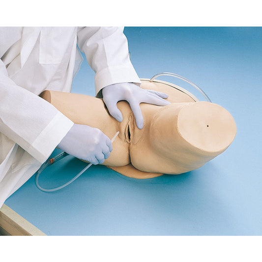 Catheterisation Simulator - Female - Erler Zimmer