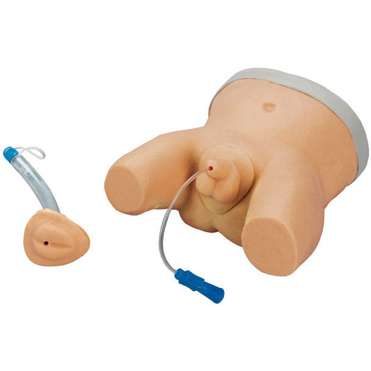 Infant Male & Female Catheterisation Trainer - Erler Zimmer