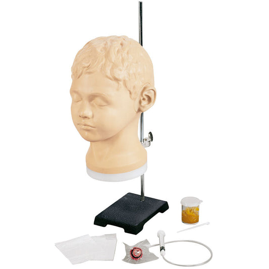 Diagnostic & procedural ear Trainer - Erler Zimmer