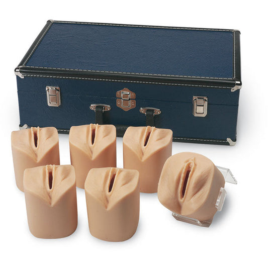 Cervical Dilatation & Effacement Simulators - Erler Zimmer