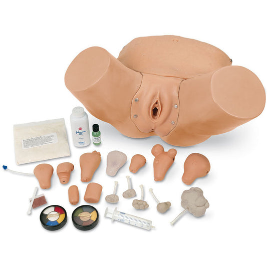 Advanced Pelvic Examination & Gynecological Simulator - Erler Zimmer