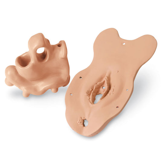 Sexually Transmitted Diseases (STD) Module - Erler Zimmer