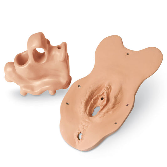 Post-Menopause Module - Erler Zimmer