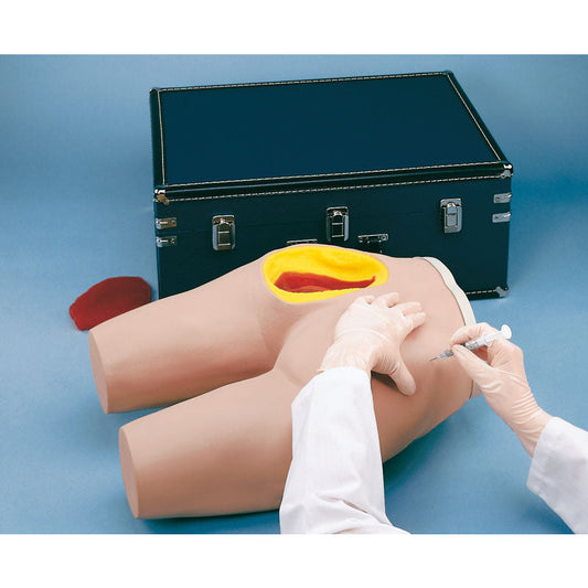 IntraMuscular Injection Simulator - Erler Zimmer