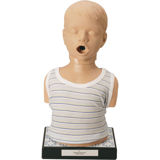 Child Heart & lung sounds auscultation Trainer - Erler Zimmer