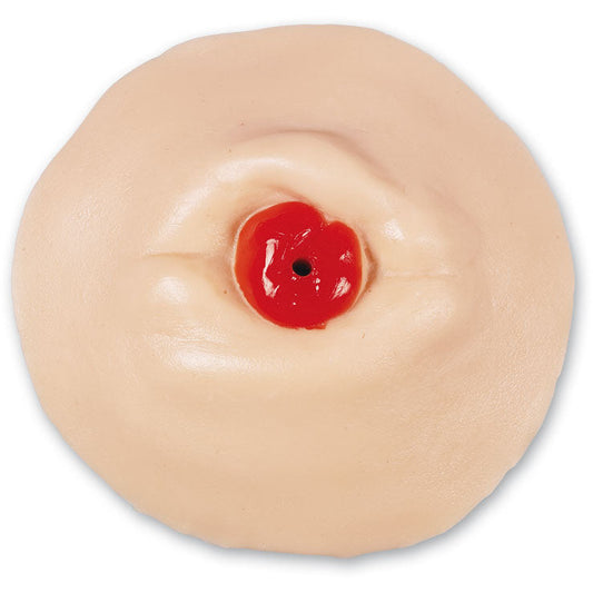 Retracted Ostomy Care Training Model - Erler Zimmer