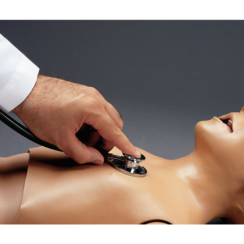 Site Specific Heart & Lung Sounds Kit with Stethoscope for R17720 - Erler Zimmer