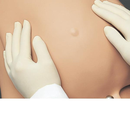 Palpation Module for Leopold Maneuvers for R17840 - Erler Zimmer