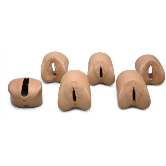 Labor Delivery Module for R17840 - Erler Zimmer