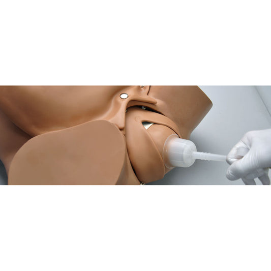 Fetal baby - Umbilical Cord - & Placenta for Vacuum Delivery for R17840 - Erler Zimmer