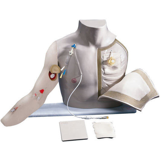 Chester Chest - Erler Zimmer