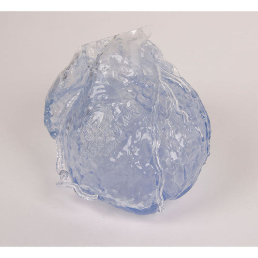 Transparent Reproduction of a real human Heart with hollow Coronaries - Erler Zimmer