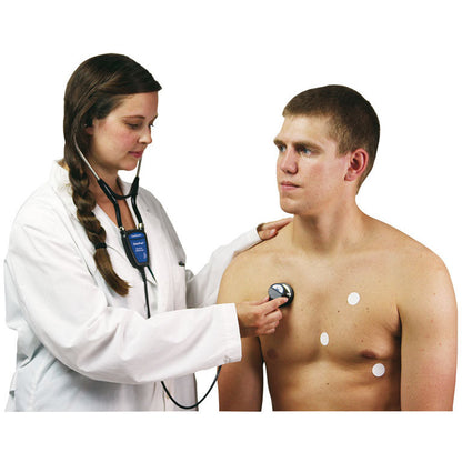 SimScope Simulator - Erler Zimmer