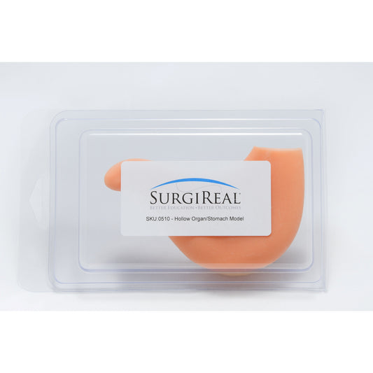 Hollow Organ/Stomach Model - Erler Zimmer