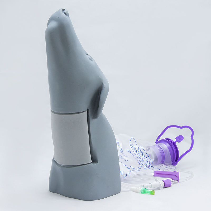 Canine Head Vascular Access Simulator - Erler Zimmer