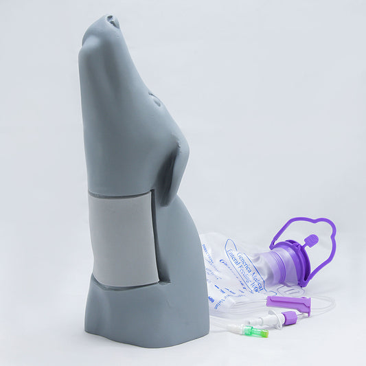 Canine Head Vascular Access Simulator - Erler Zimmer