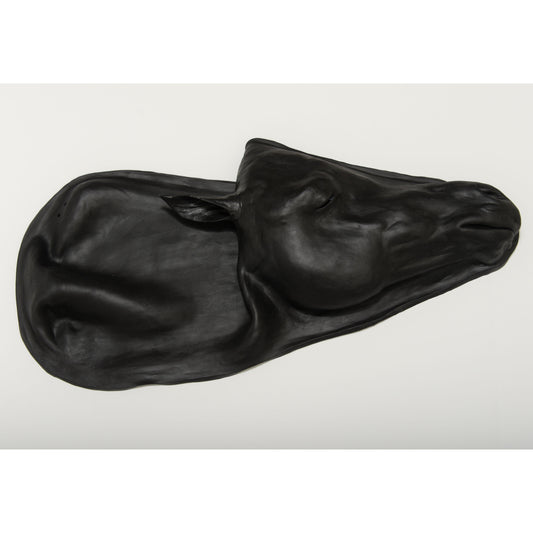 Replacement Skin Equine Simulator 1.0 - Erler Zimmer