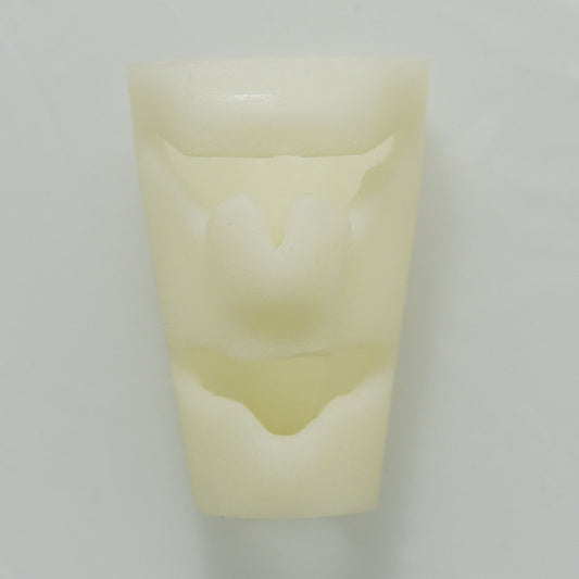 Cricothyroid Cartilage - Erler Zimmer