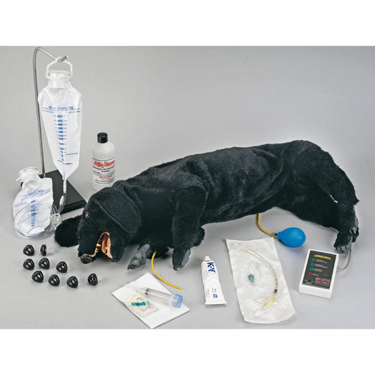 Advanced CPR Dog - Erler Zimmer