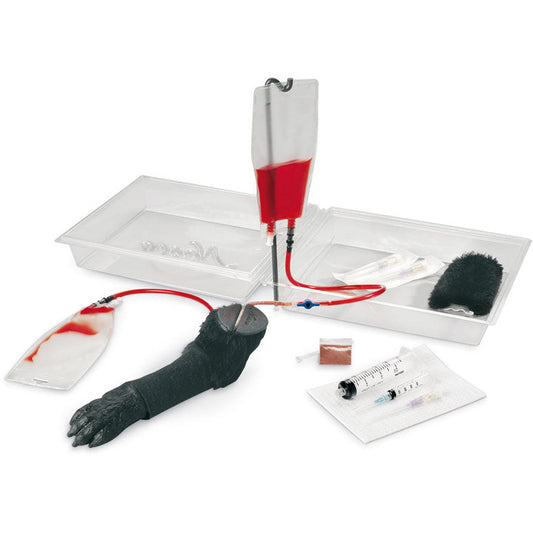 Canine I.V. Leg - Erler Zimmer