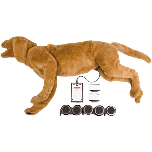 Goldie Sound Simulator - Erler Zimmer