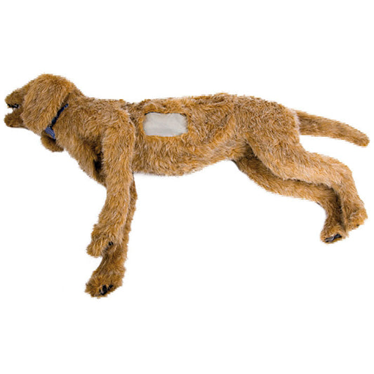 K-9 Thoracentesis - Erler Zimmer