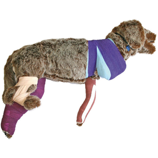 Rufus Bandaging Manikin - Erler Zimmer