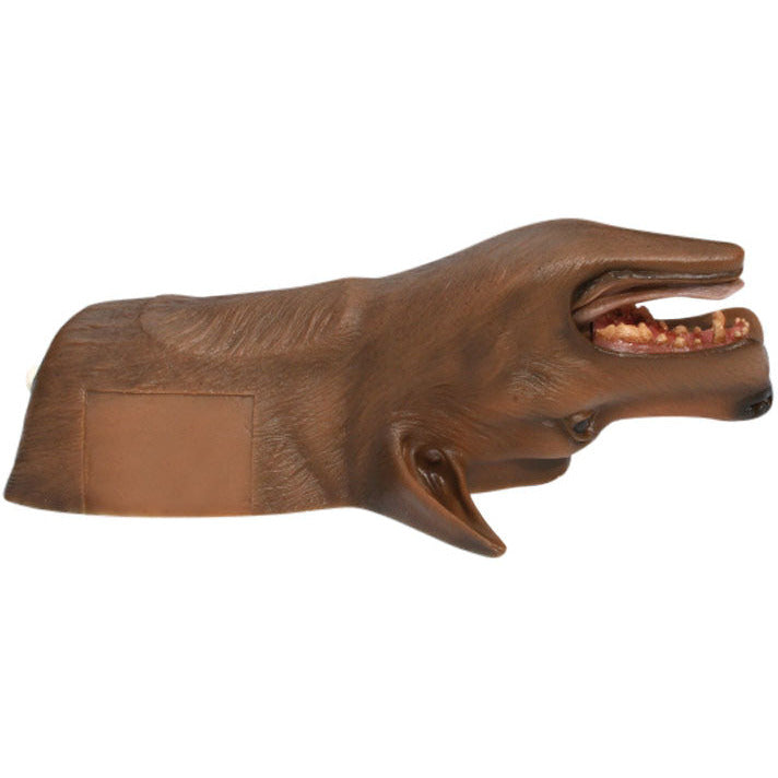 Louie K9 Tracheostomy Model - Erler Zimmer