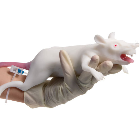 Mimolette lab Rat - Erler Zimmer