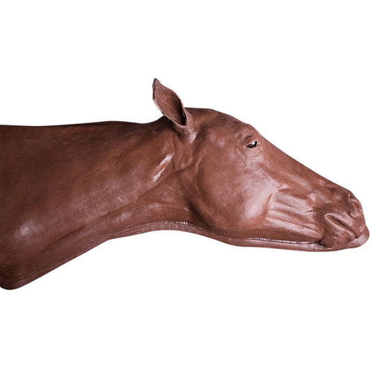 Equine Vascular Access Simulator - Erler Zimmer