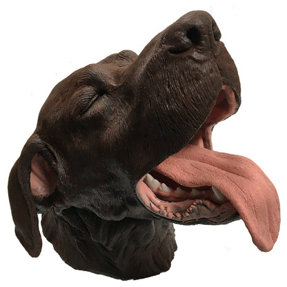 Canine Dental Technician Model