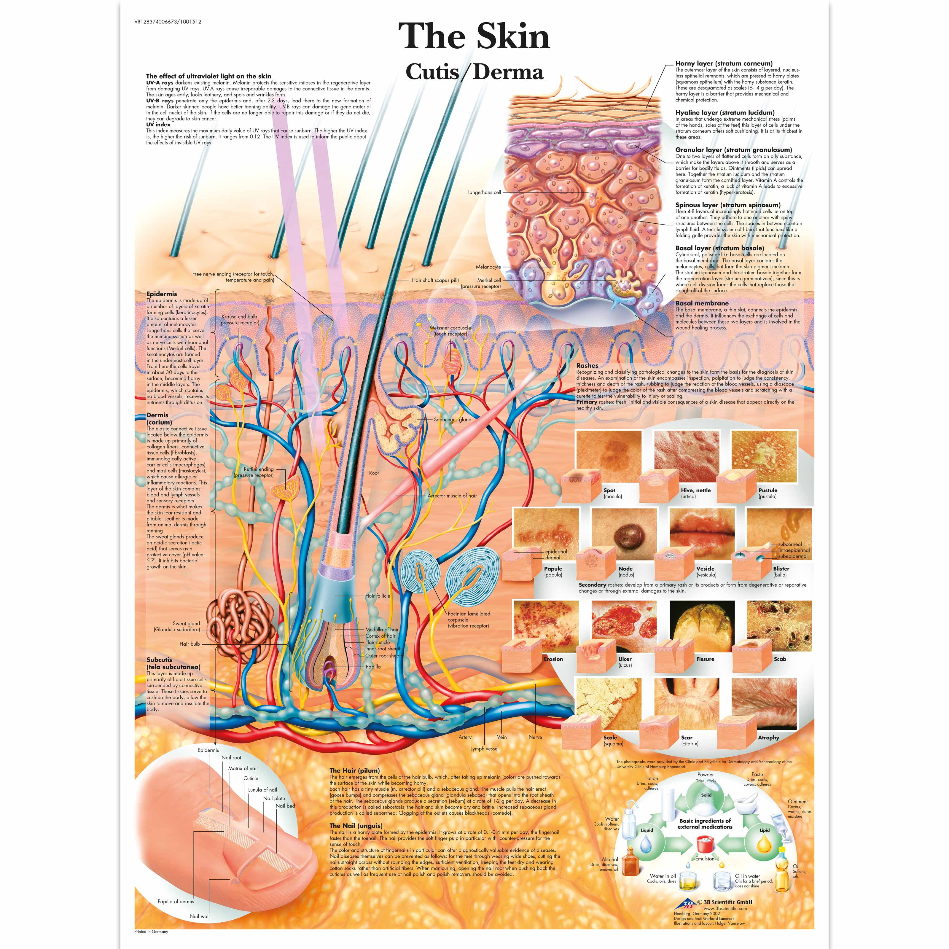 Skin Direction Chart The Skin Chart – Medisave UK