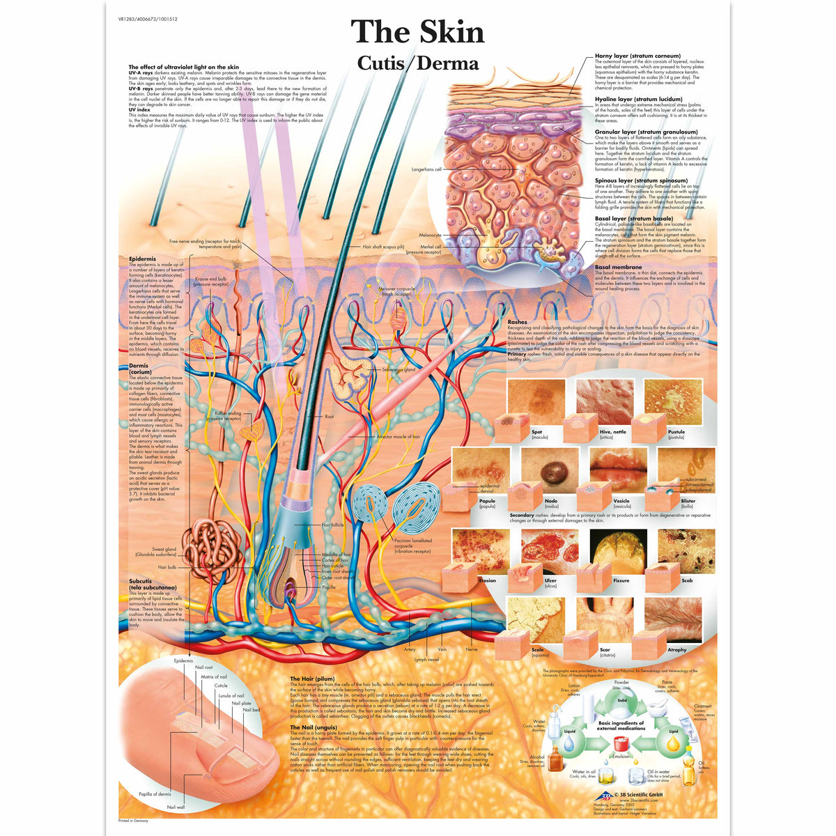 Skin Problem Chart The Skin Chart – Medisave UK