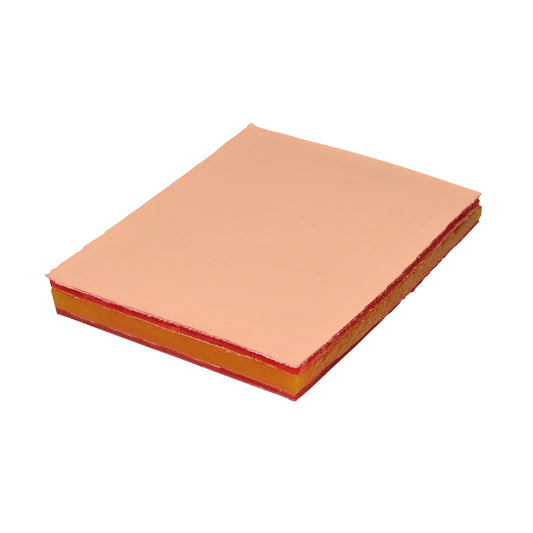 Single Sided Skin Pad - 3B Scientific