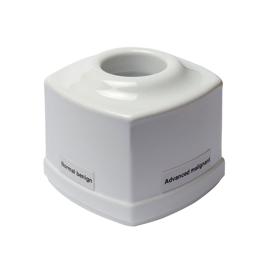 Prostate Examination Trainer - 3B Scientific