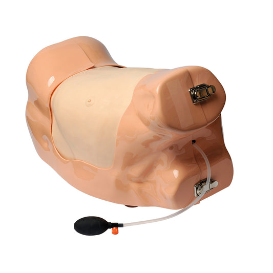 Chest Drain Simulator - 3B Scientific