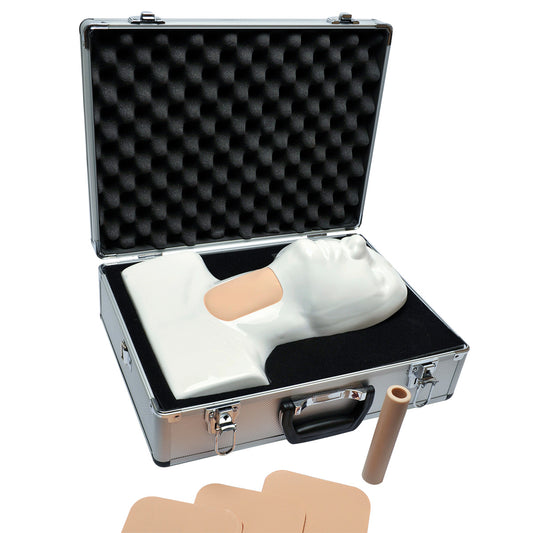 Cricotracheotomy Trainer - 3B Scientific