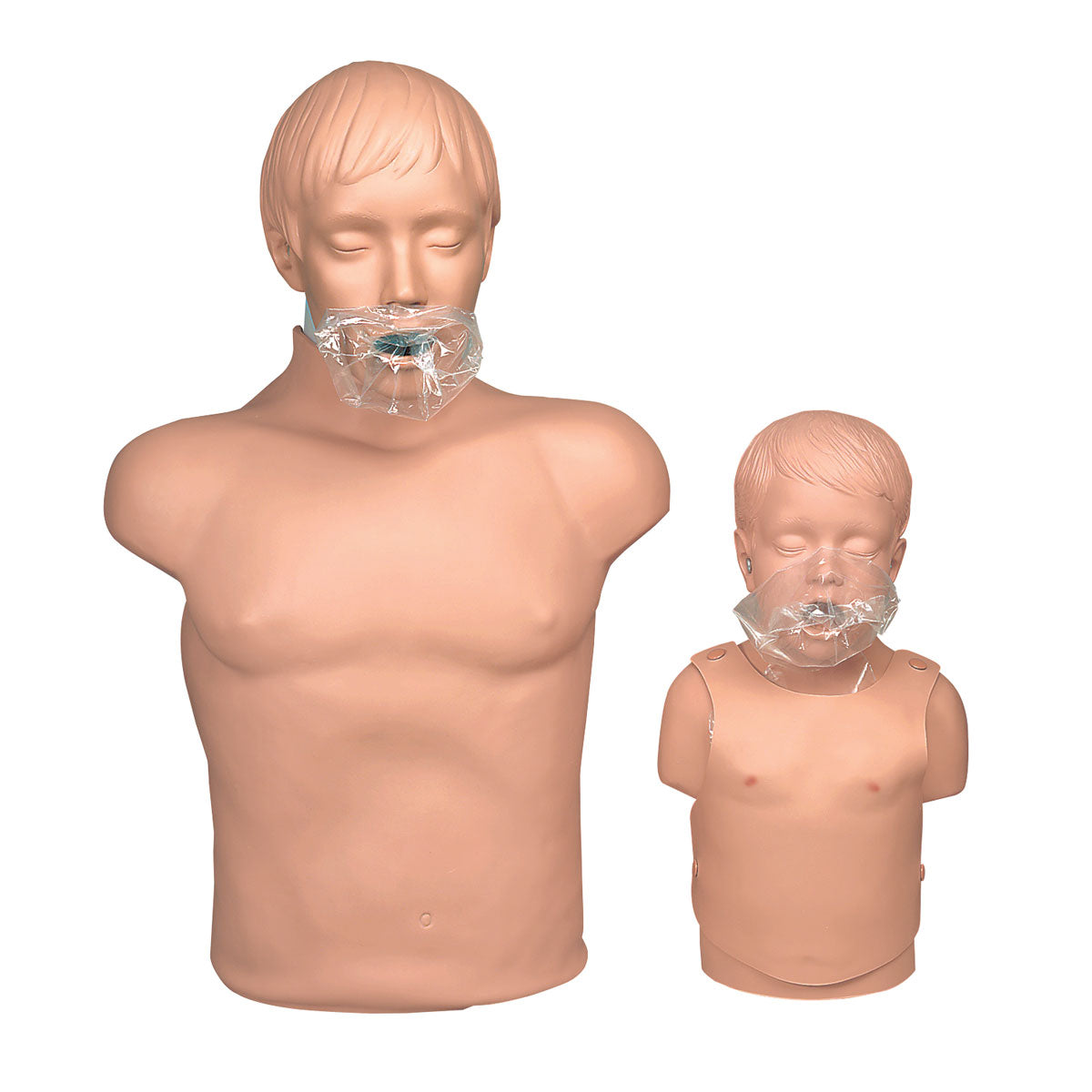100 Airway/Lung/Face Shield Systems - 3B Scientific