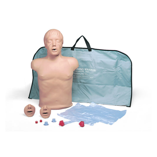 CPR Torso - 3B Scientific