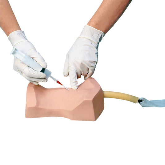 Deluxe Cricothyrotomy Simulator - 3B Scientific
