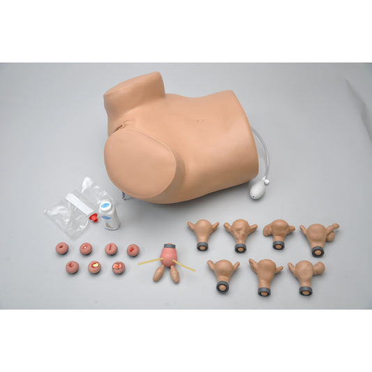 GYN/AID Gynecologic Simulator - 3B Scientific