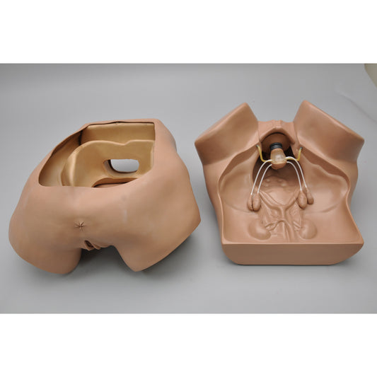 ZOE Gynecologic Simulator, Light - 3B Scientific