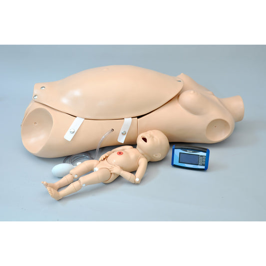 Noelle® Birthing Torso with birthing baby - 3B Scientific