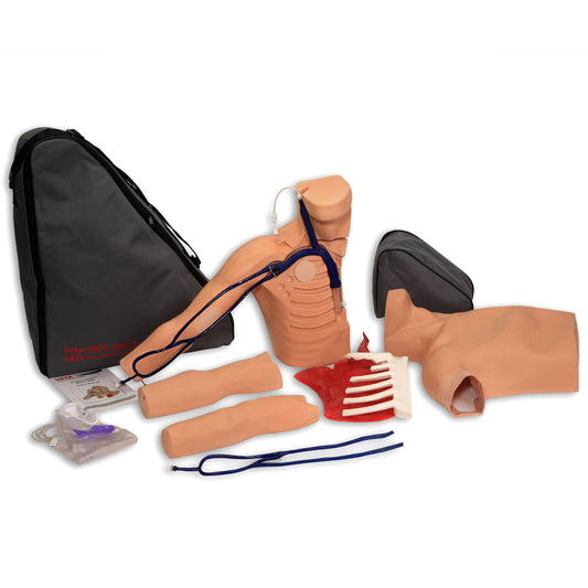 Peter PICC Line Simulator - 3B Scientific