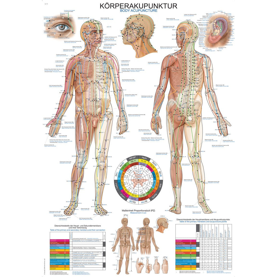 Body Acupuncture Small Poster Medisave UK Body Acupuncture Small Poster Medisave UK