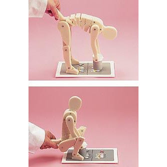 Correct Lifting Demonstration Figure