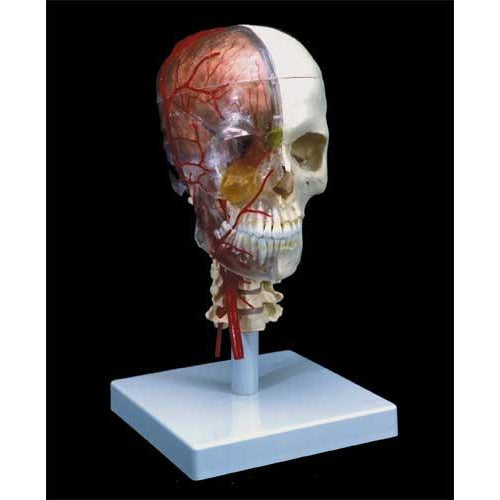 Luxury System Skull, 7-Part