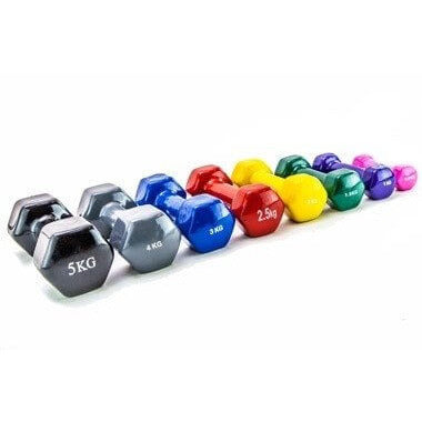 Dumbbell weights - 1.5kg - Fortress